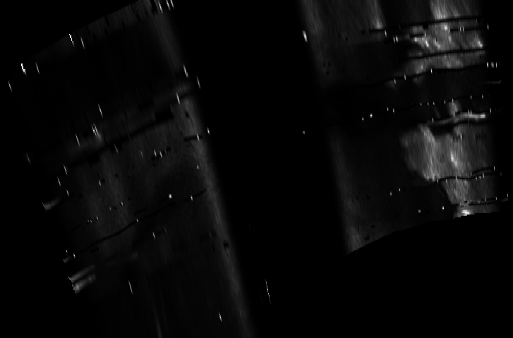 ascat_grayscale_proj_downward.png